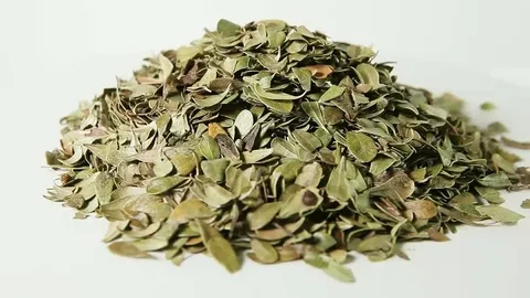 تصویر 1 از قیمت آویشن همدان + خرید باور نکردنی